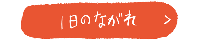 1日の流れ